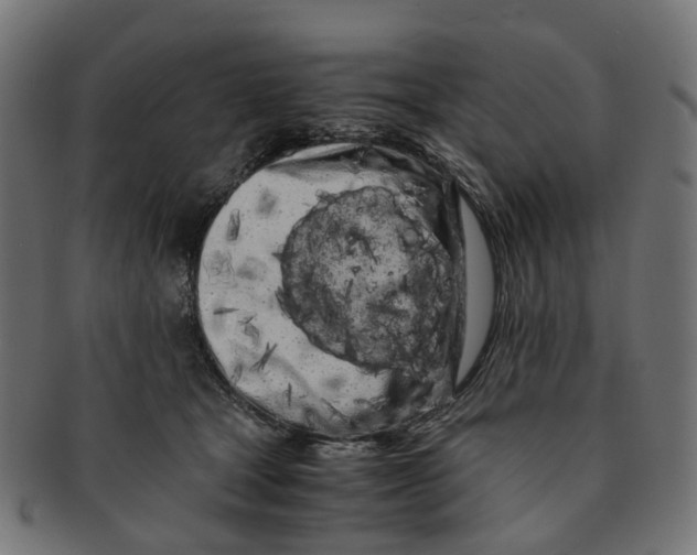 X0000091240465200709061543