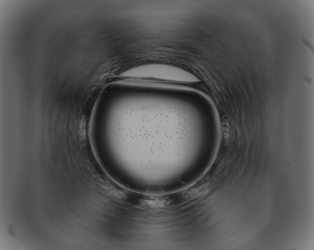 X0000091240466200709061543