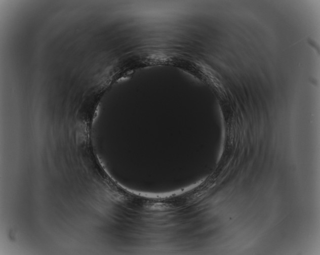 X0000091240467200709061543