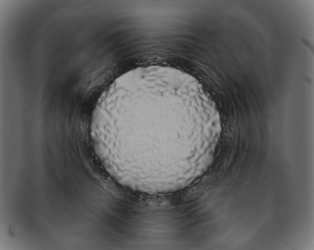 X0000091240468200709061543