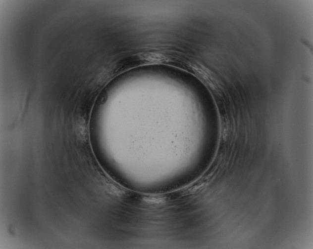 X0000091240469200709061543