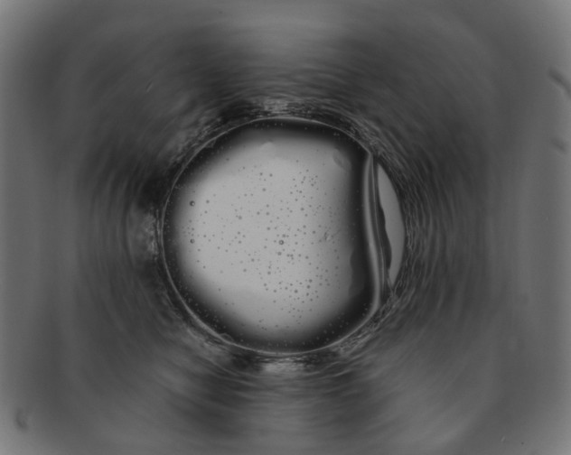 X0000091240470200709061543