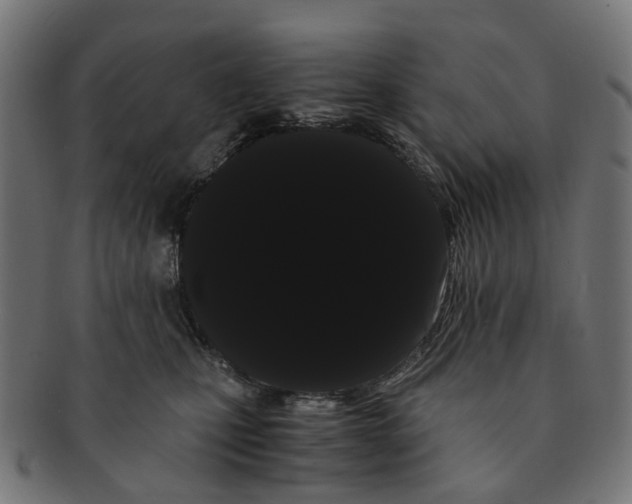 X0000091240471200709061543