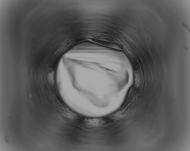 X0000091240473200709061543