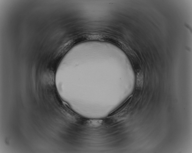 X0000091240474200709061543