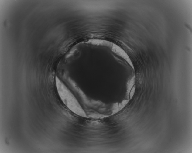 X0000091240475200709061543