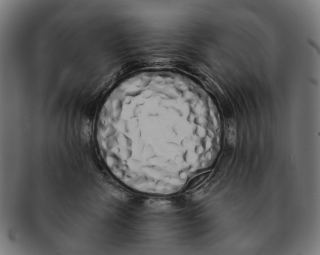 X0000091240476200709061544