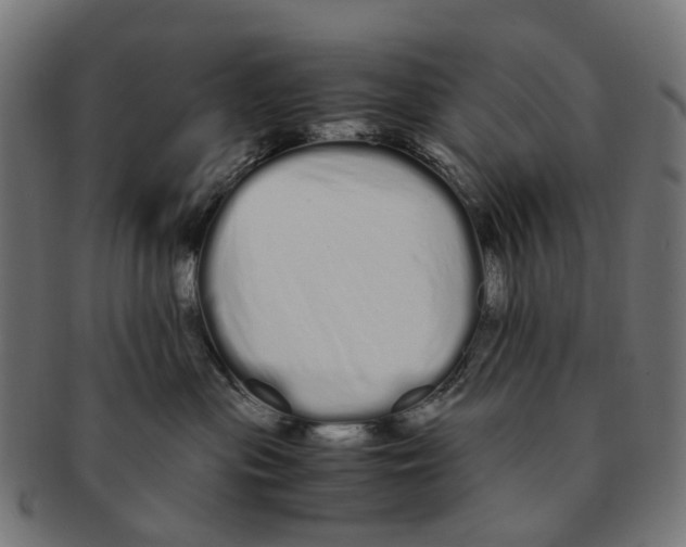 X0000091240477200709061544