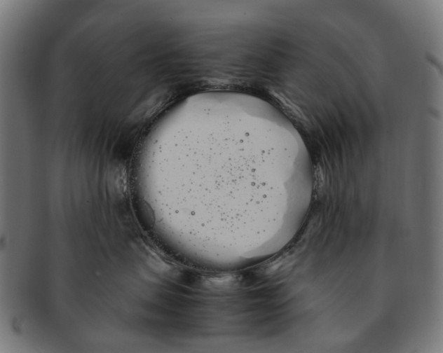 X0000091240479200709061544