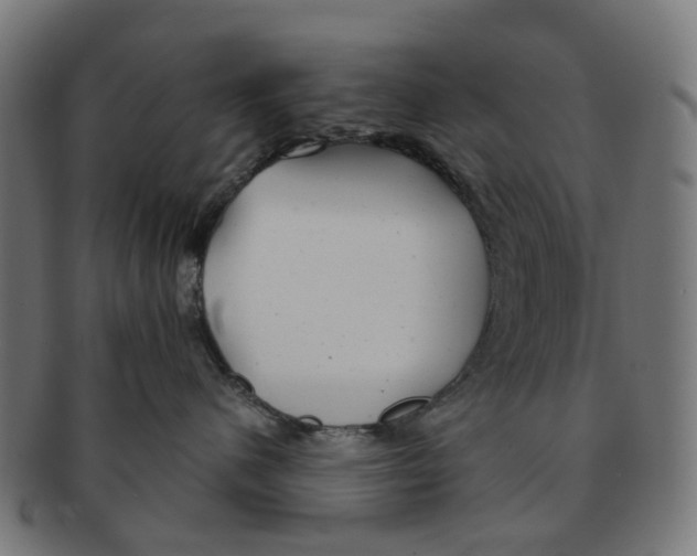 X0000091240480200709061544