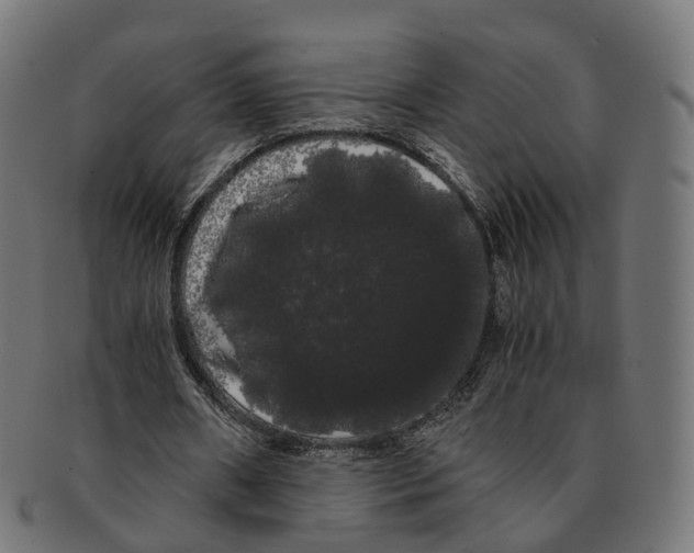 X0000091240482200709061543