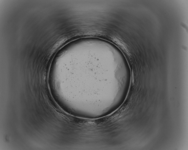 X0000091240483200709061543