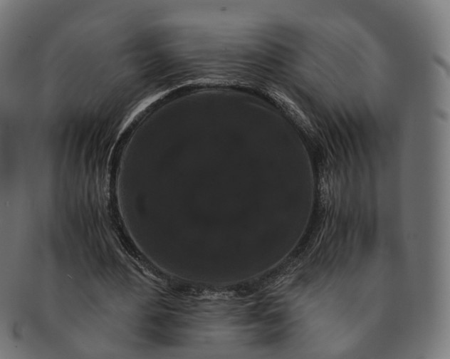 X0000091240484200709061543