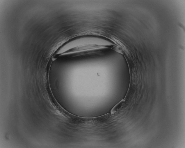 X0000091240485200709061543