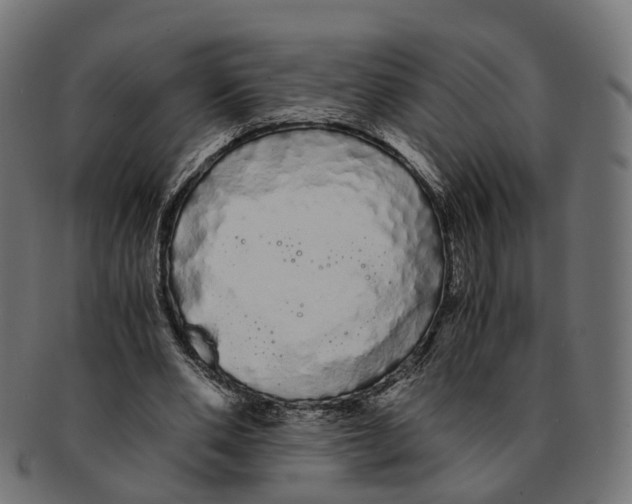 X0000091240486200709061543