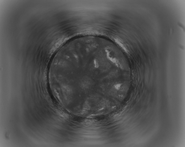 X0000091240487200709061543