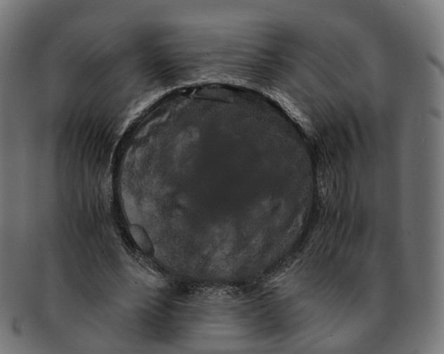 X0000091240488200709061543