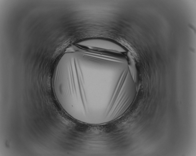 X0000091240489200709061543