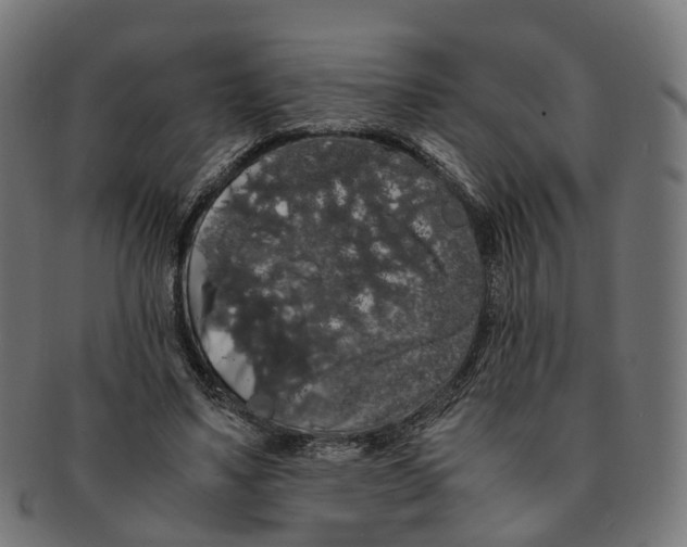 X0000091240491200709061543