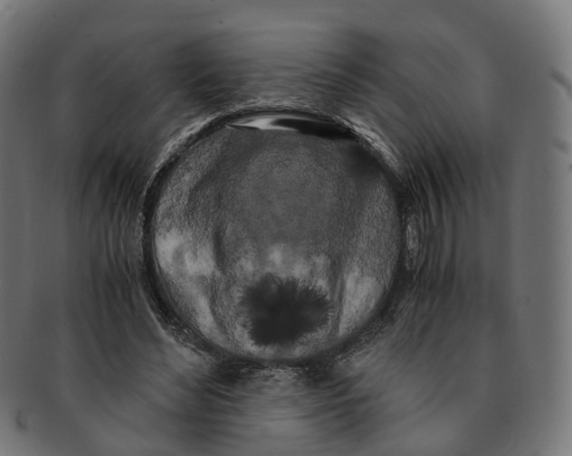 X0000091240492200709061543