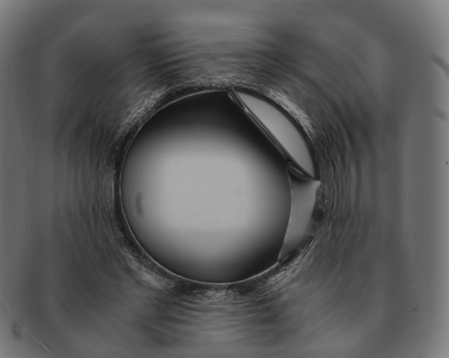 X0000091240493200709061543