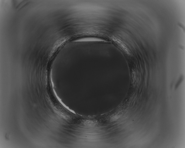 X0000091240494200709061543