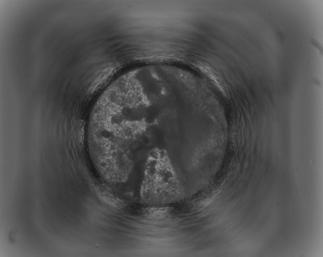 X0000091240495200709061543