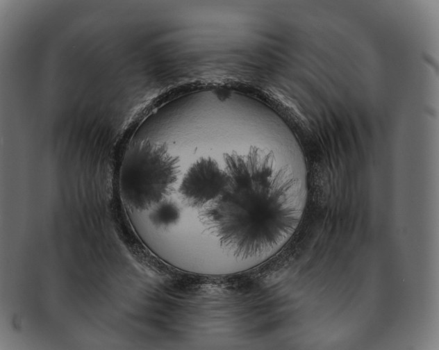 X0000091240496200709061543