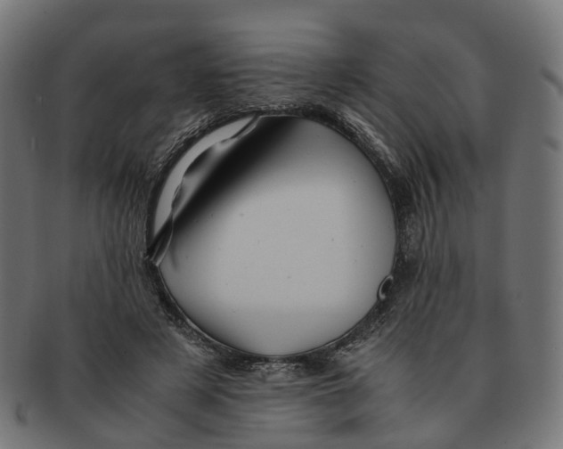 X0000091240497200709061543