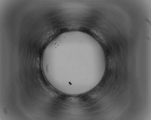 X0000091240498200709061543