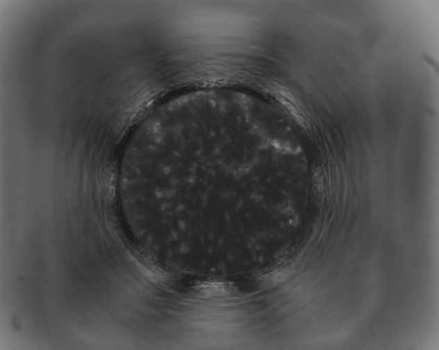 X0000091240499200709061543