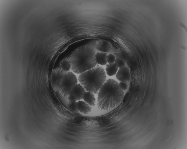 X0000091240500200709061543