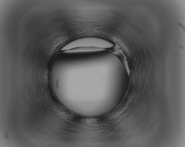 X0000091240501200709061543