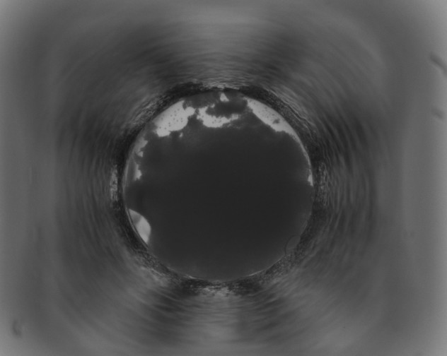 X0000091240502200709061543