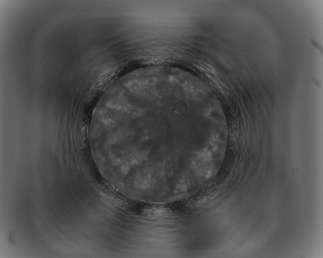 X0000091240503200709061543