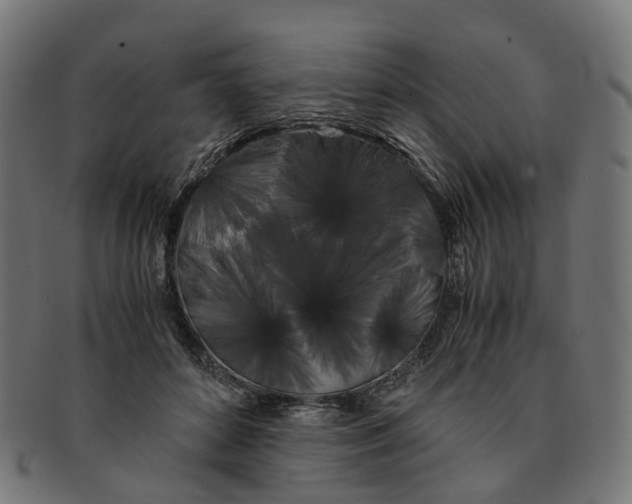 X0000091240504200709061543