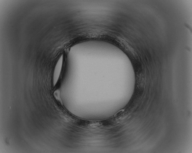 X0000091240505200709061543