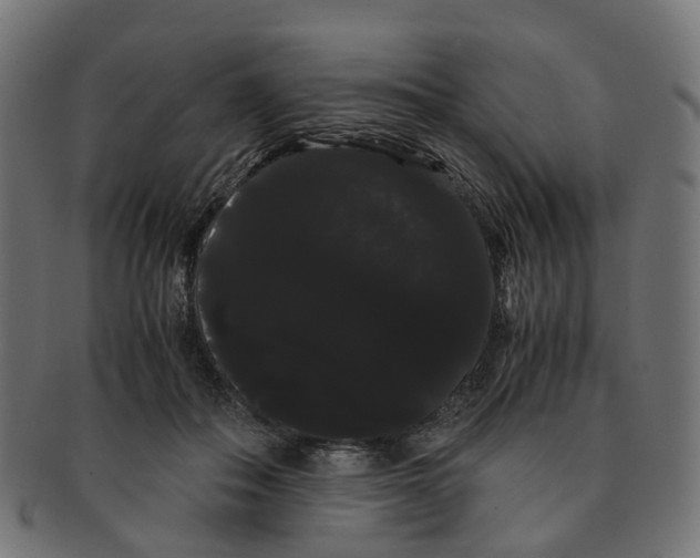 X0000091240506200709061543