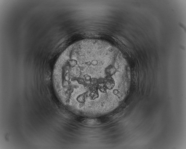 X0000091240507200709061543