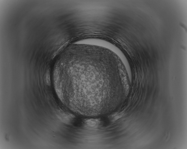 X0000091240508200709061542