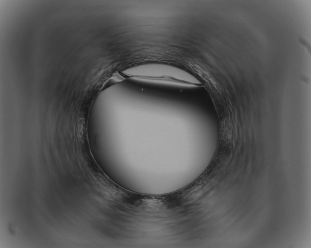 X0000091240509200709061542