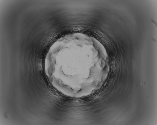 X0000091240510200709061542