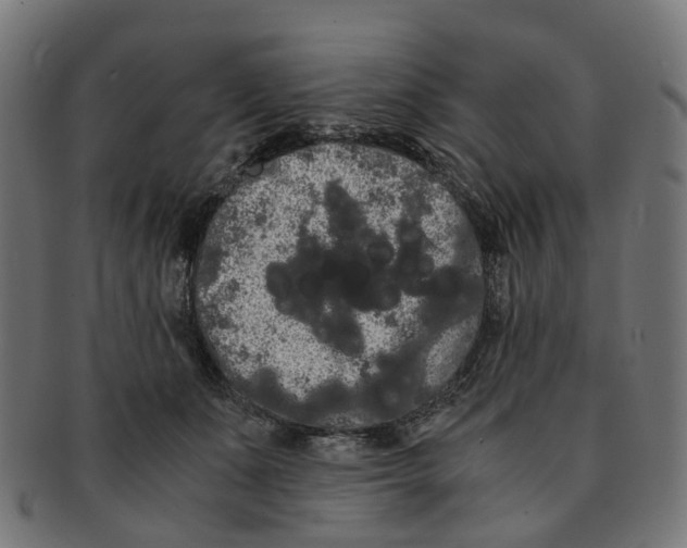X0000091240511200709061542
