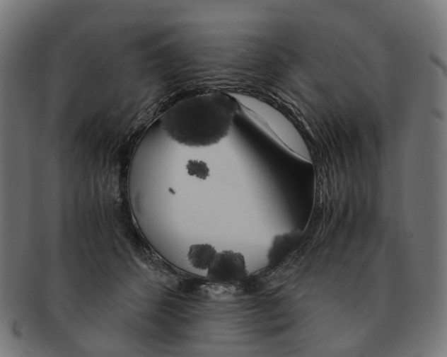 X0000091240512200709061542