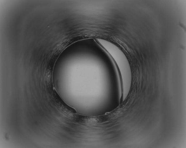 X0000091240513200709061542