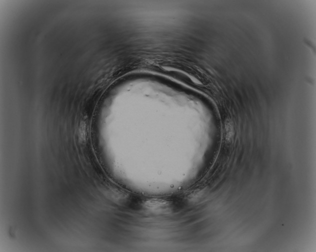 X0000091240515200709061542