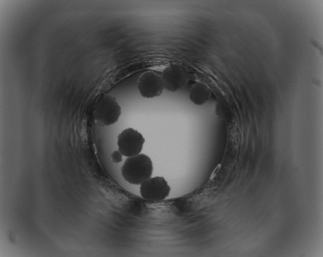 X0000091240516200709061542