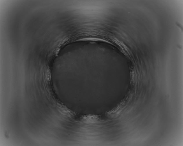 X0000091240517200709061542