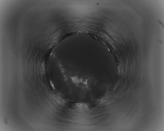 X0000091240520200709061542