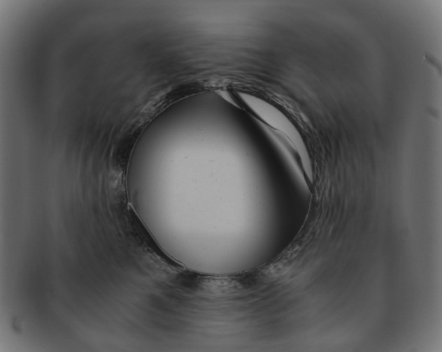 X0000091240521200709061542